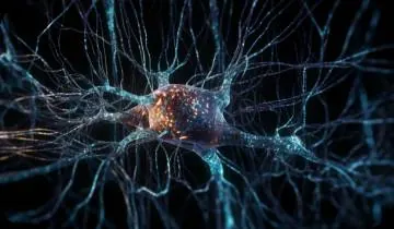 Complete brain support